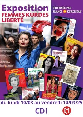 Affiche expo Femmes Kurdes Liberté CDI.jpg